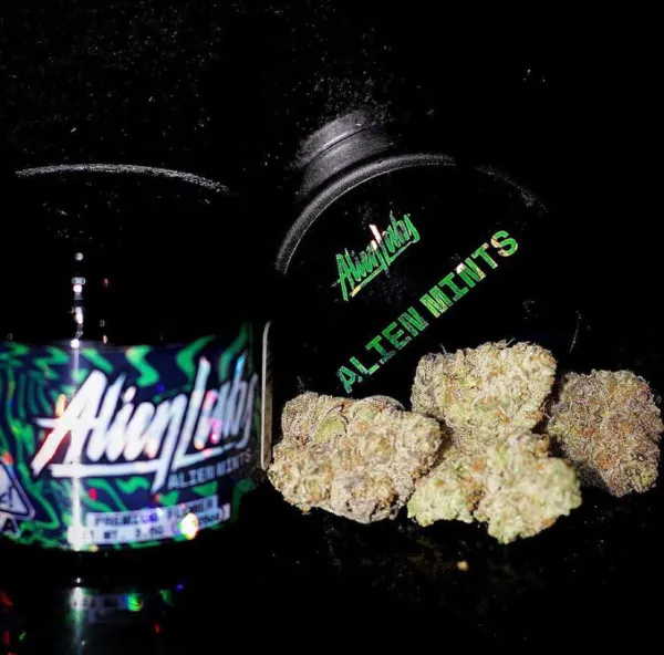 ALIEN-MINTS-BY-ALIEN-LAB.webp