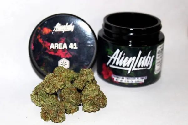 AREA-41-ALIEN-LABS-1.webp