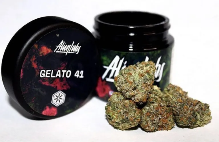 GELATO-41-ALIEN-LABS-1.webp