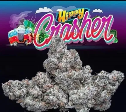 WEDDING CRASHER STRAIN