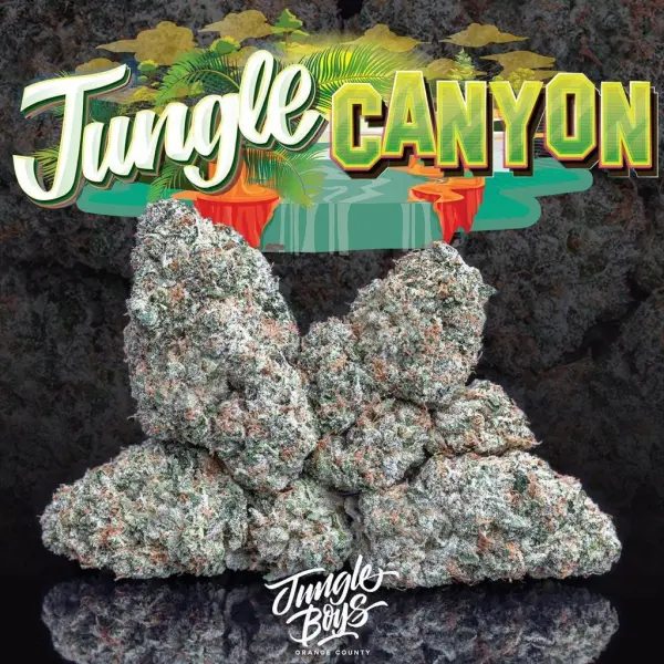 JUNGLE-CANYON-1.webp