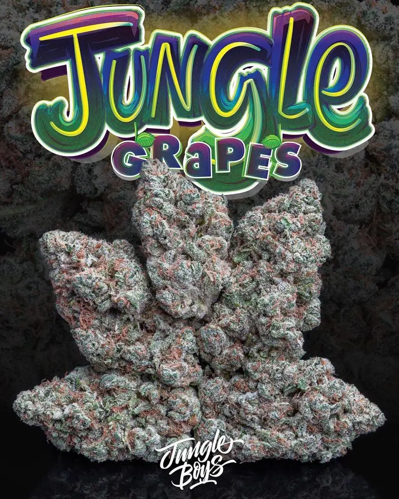 JUNGLE-GRAPES.webp