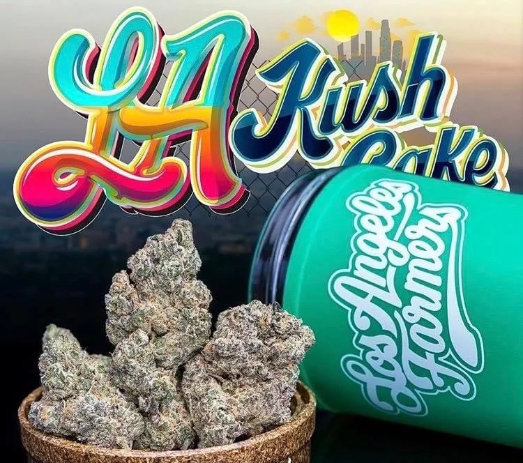 LA-KUSH-CAKE-JUNGLEBOYS-1.webp