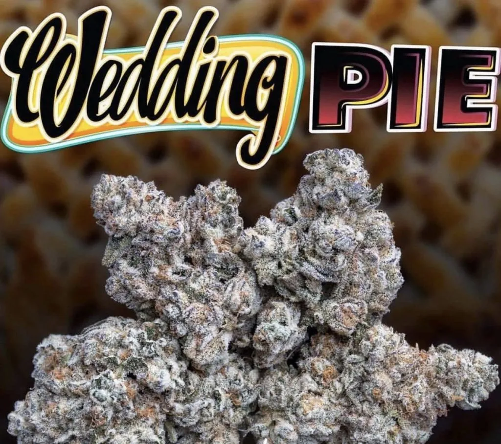 WEDDING-PIE-JUNGLEBOYS-1.webp