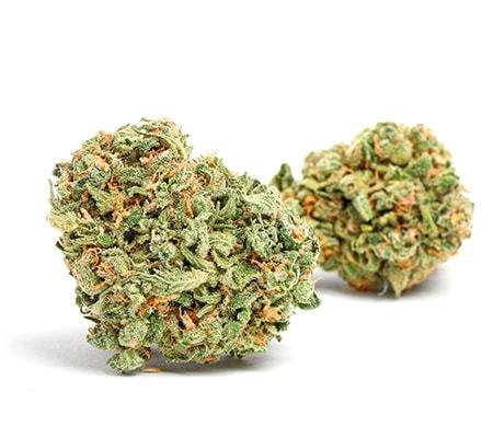 mj_mandarin_dreams_marijuana_strain__450.jpg