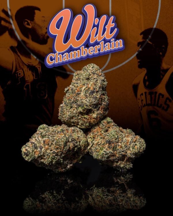 wilt-chamberlain-weed-strain-600x750-1.jpg
